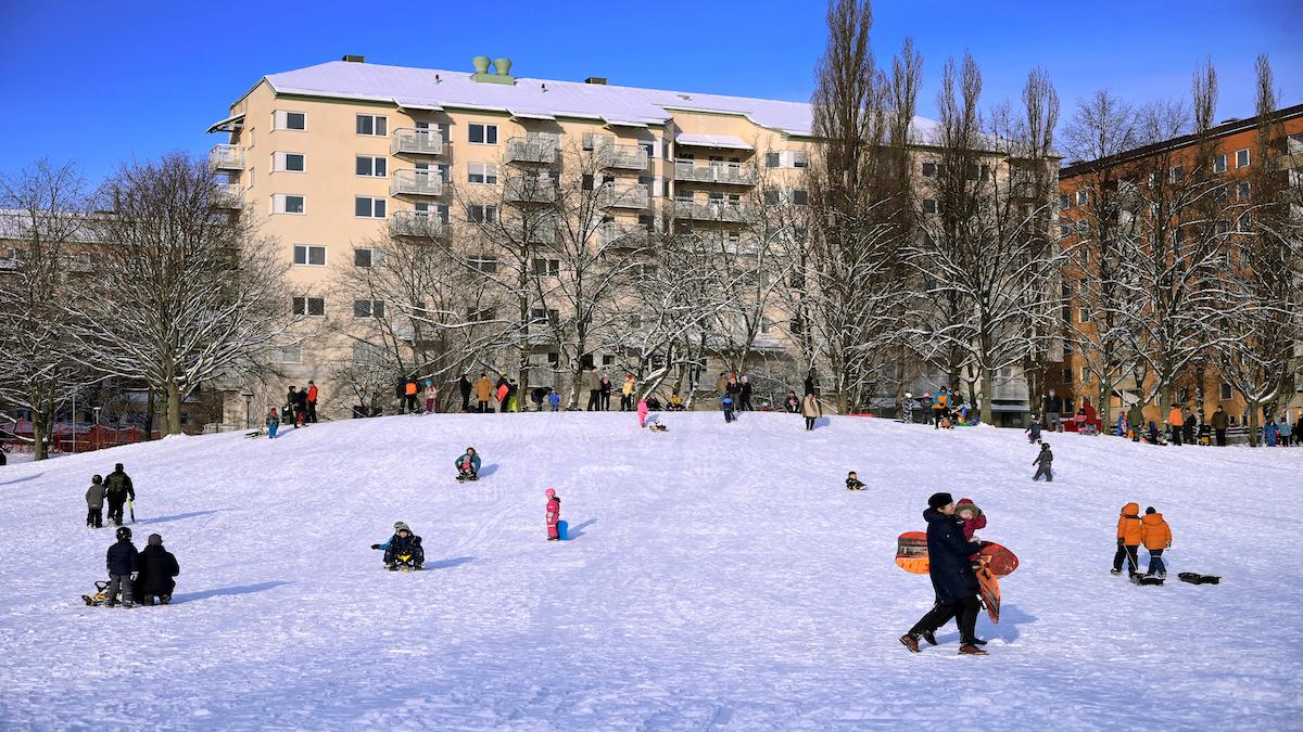 Det är rusning efter vinterprylar som pulkor och längdskidor just nu. (Foto: TT)