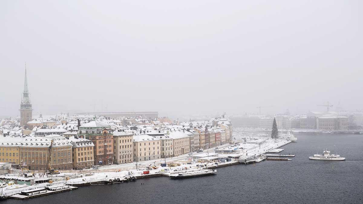 Det kalla vädret består, och elpriserna skjuter i höjden. (Foto: TT)