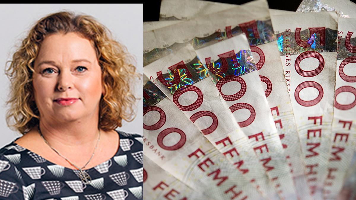 politiker krisstöd dubbla ersättningar