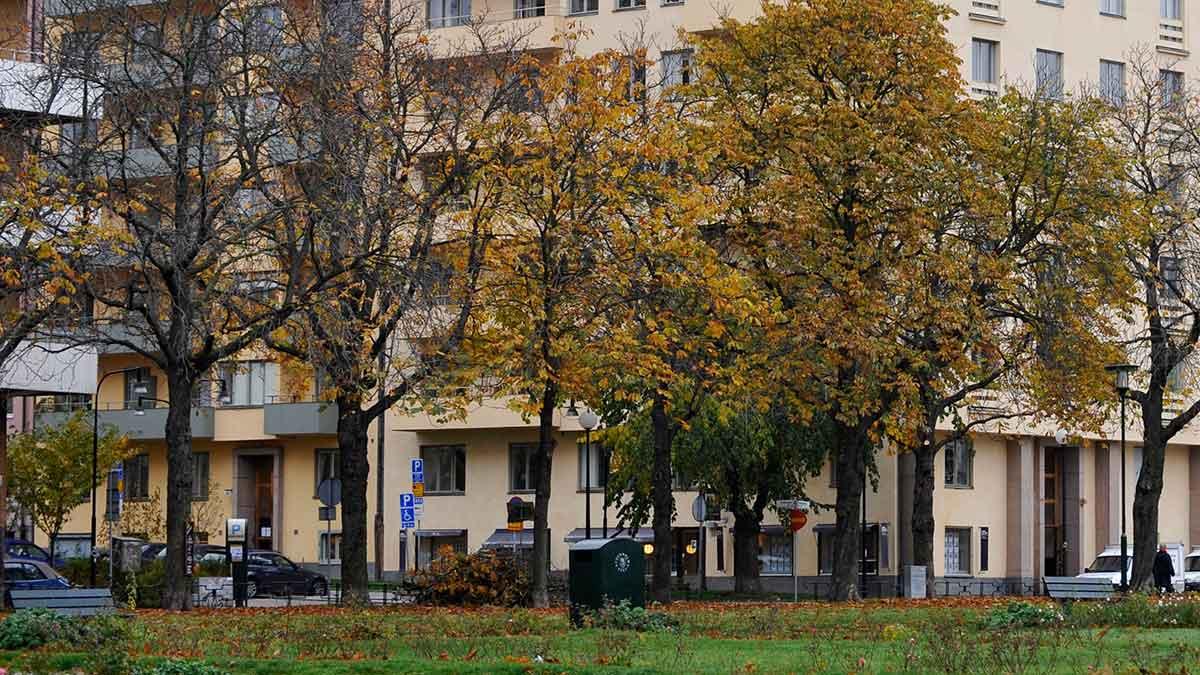 härva paradvåningar
