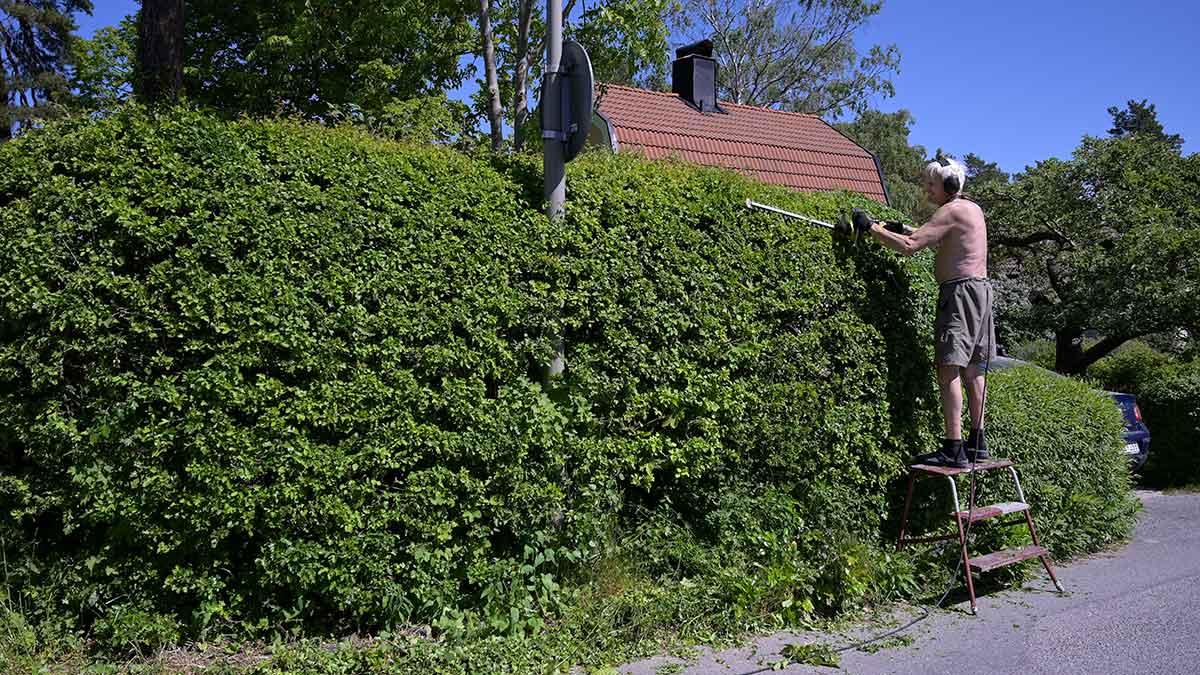 prisrallyt småhus