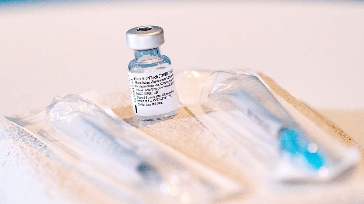 Flockimmunitet kan uppnås i augusti med hjälp av vaccin