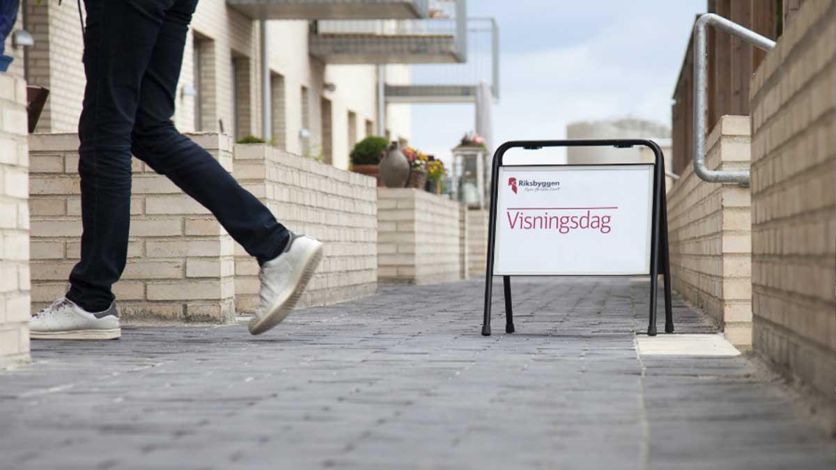 Visning