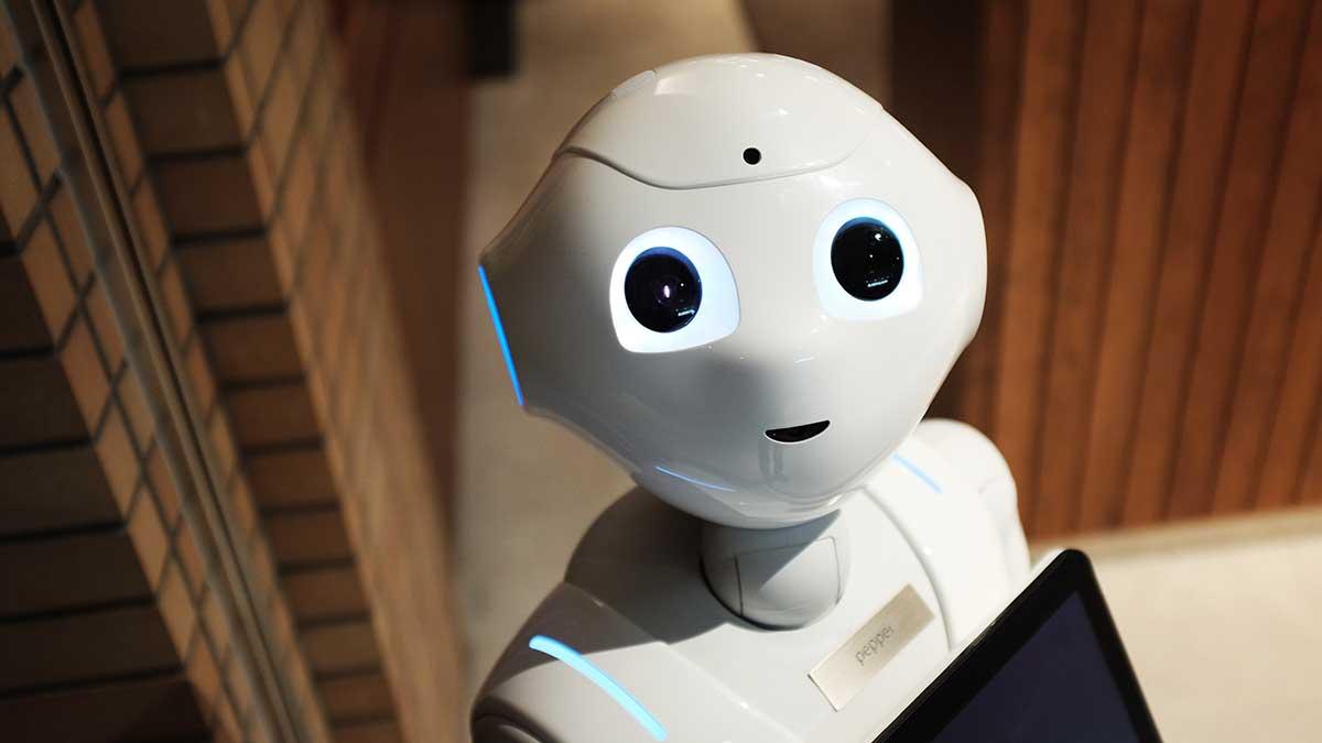 robotrådgivare
