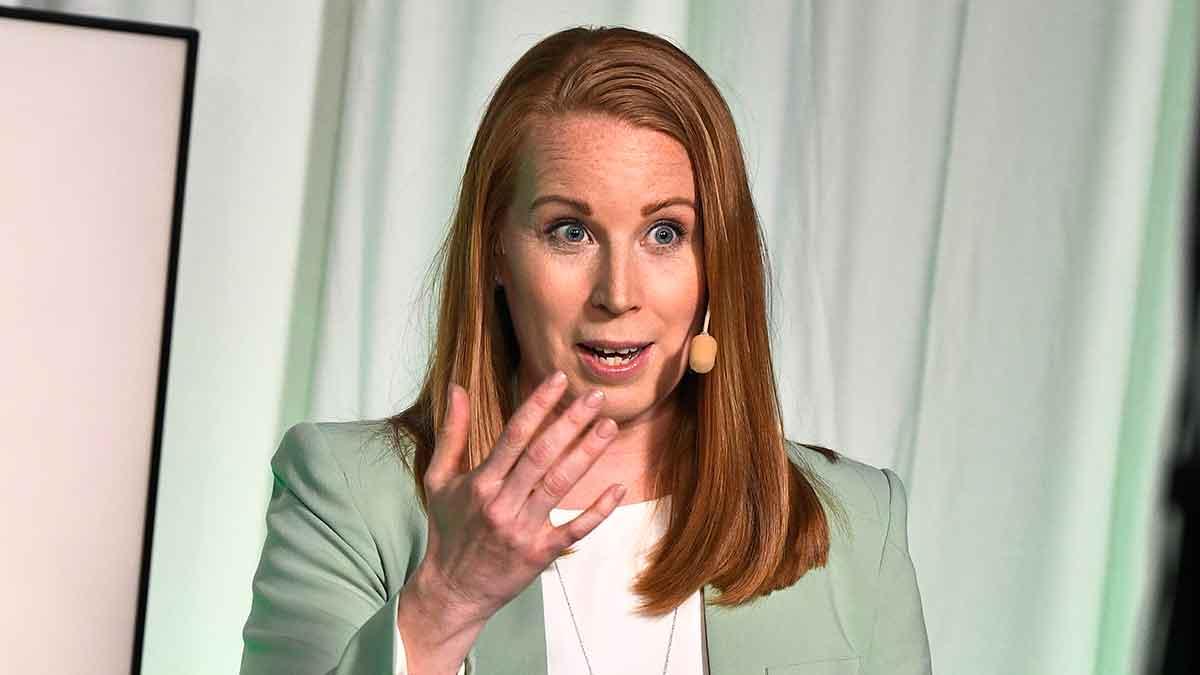 Annie Lööf budget