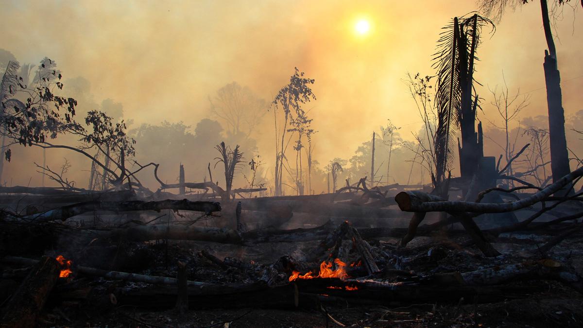 Amazonas