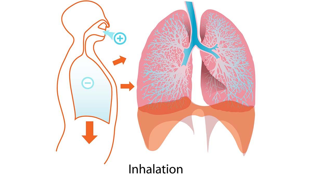 Inhalation Services emitterar teckningsoptioner