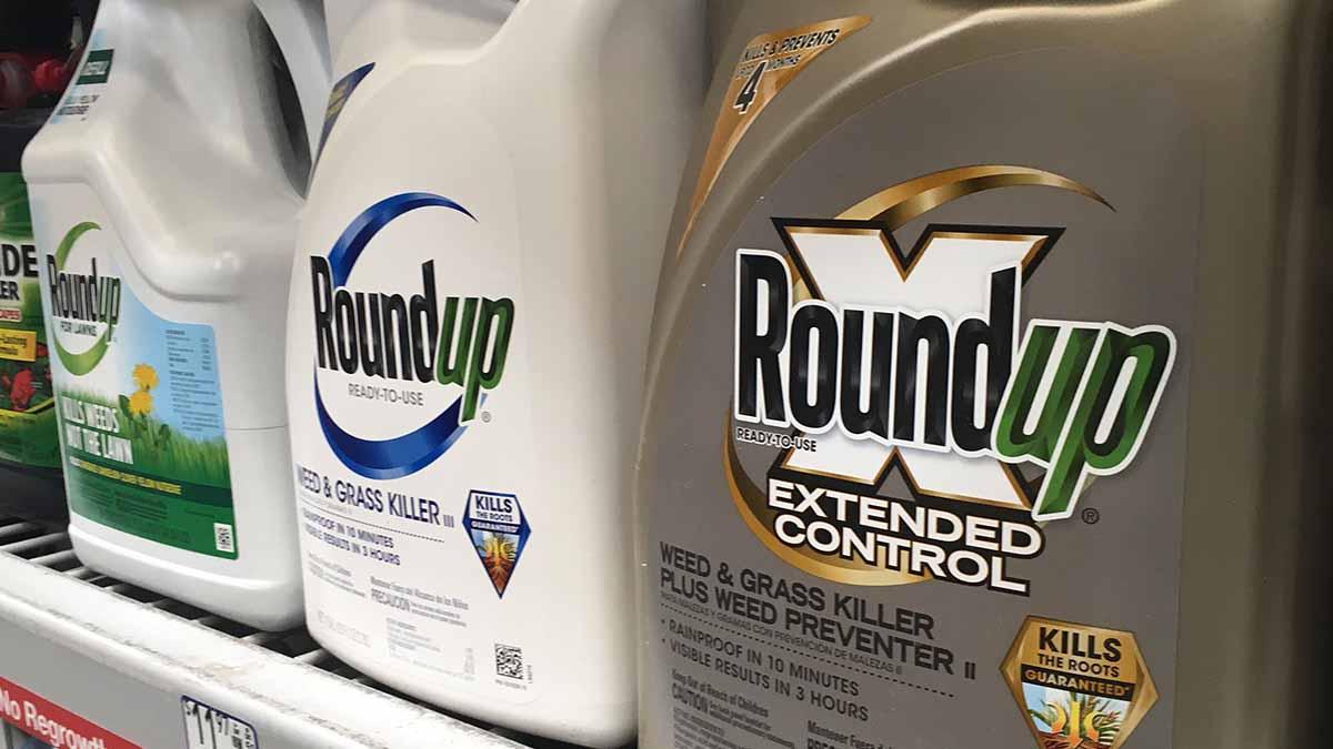 Roundup