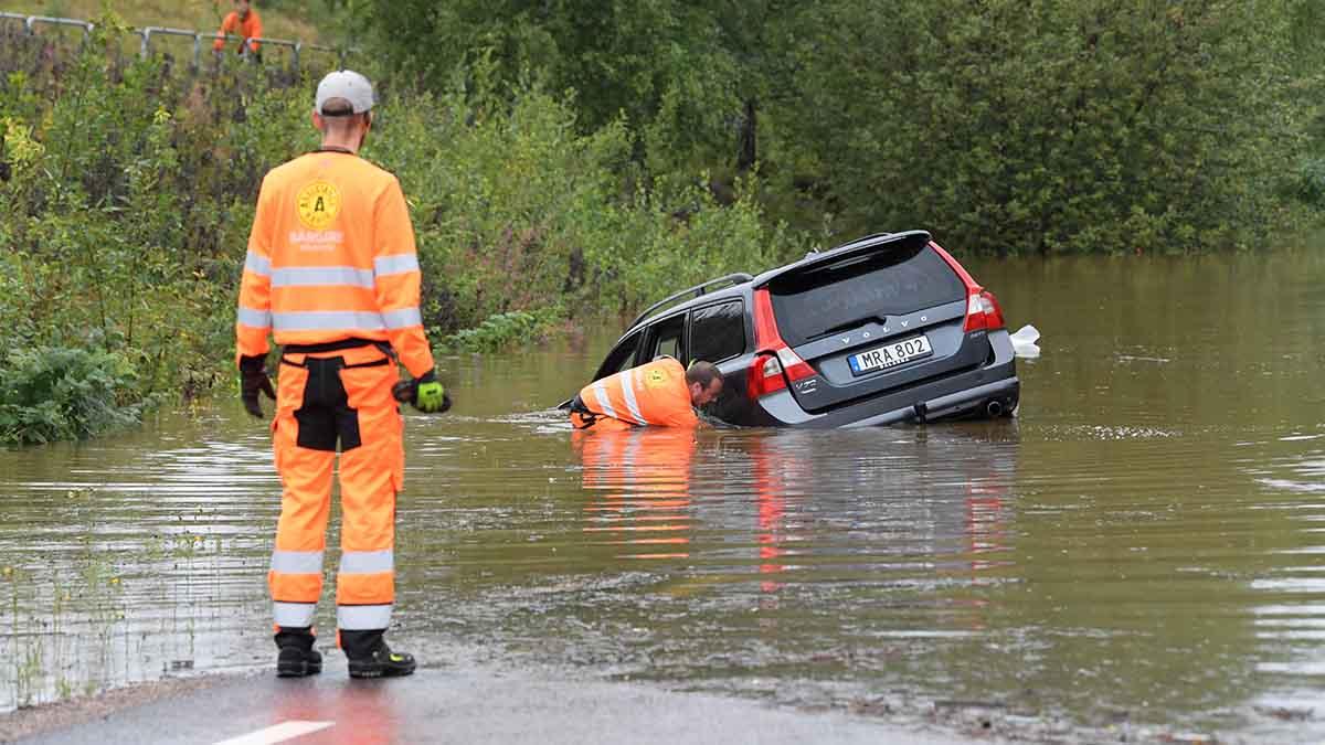 företag