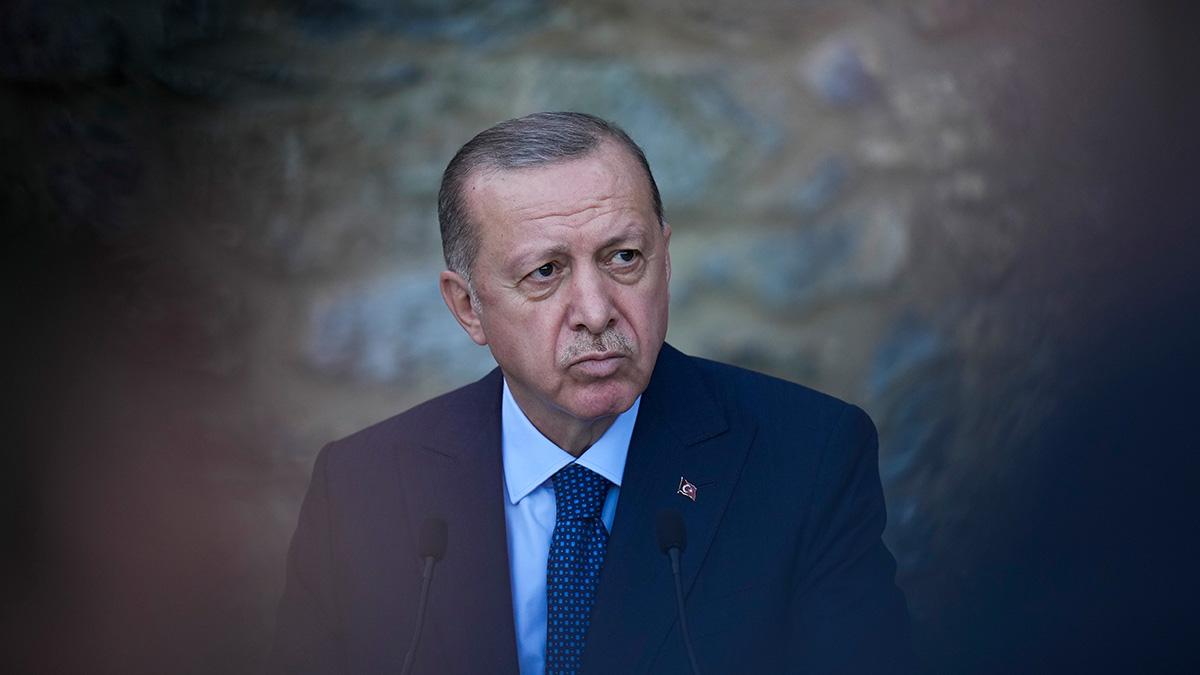 Erdogan ambassadörer