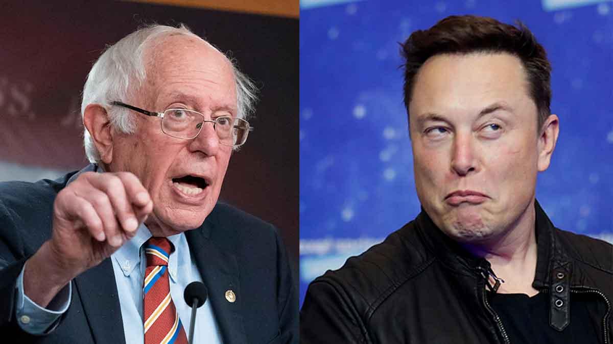 Bernie Sanders Elon Musk