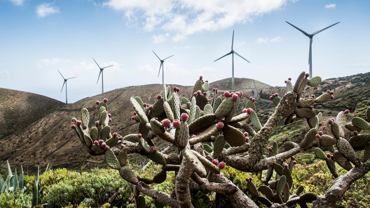 Förnybar energi byggs ut i rasande takt. Ändå krävs det mer, konstaterar IEA i en prognos.