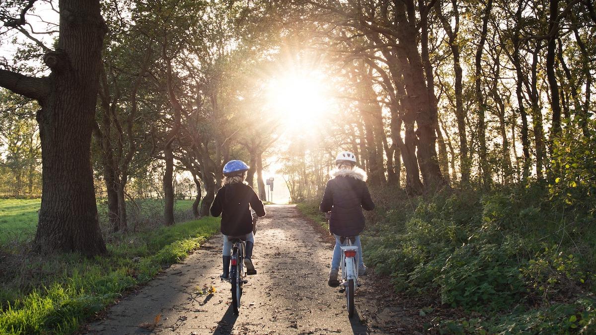 Tyréns satsar nu på att erbjuda fler tjänster inom strategisk trafikplanering och mobilitet