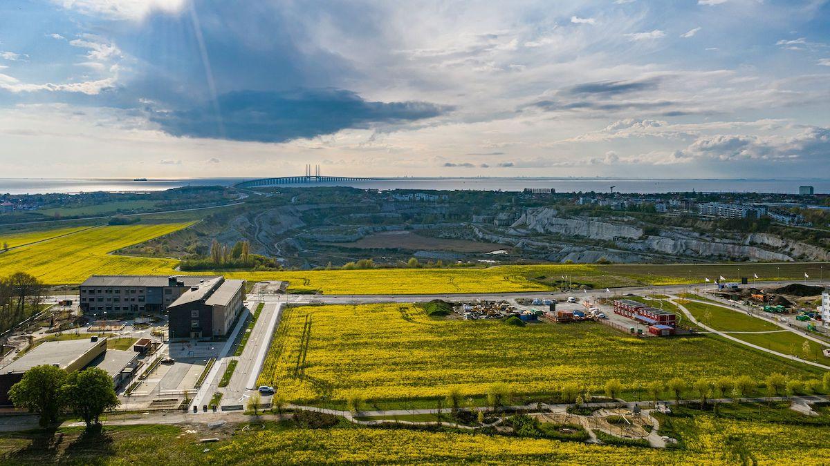 Området Elinegård i Sydvästra Malmö som ska bebyggas och klimatberäknas. (Foto: Cowi)