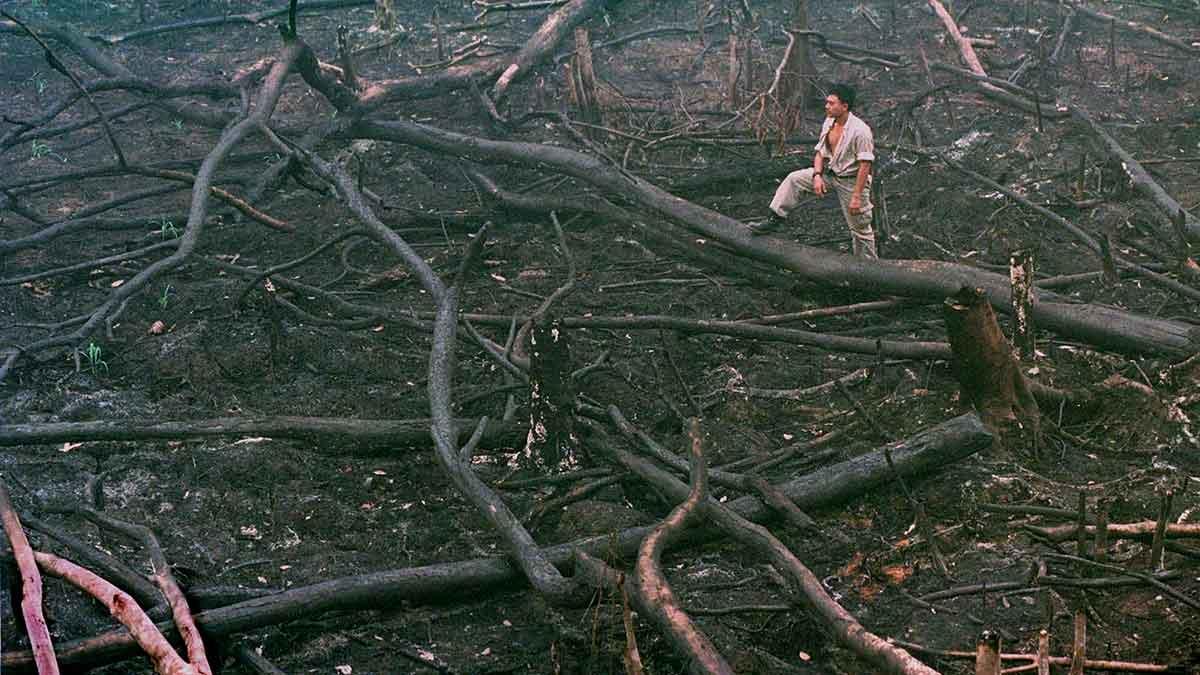 WWF regeringen