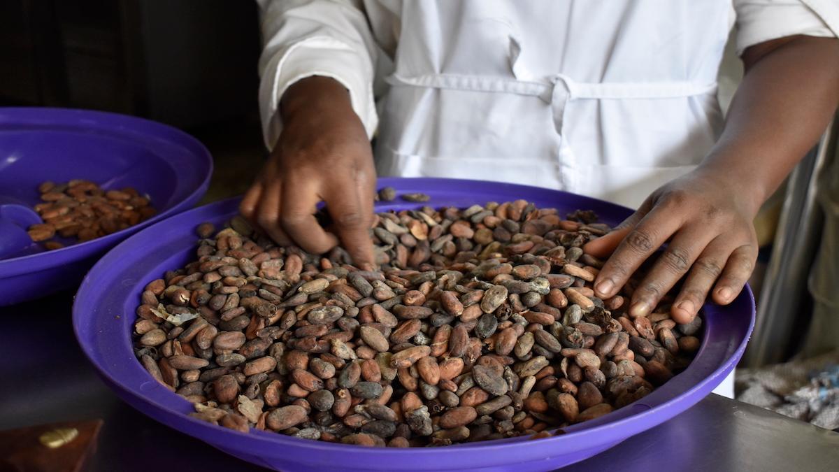 Chokladälskare kan få betala dyrt