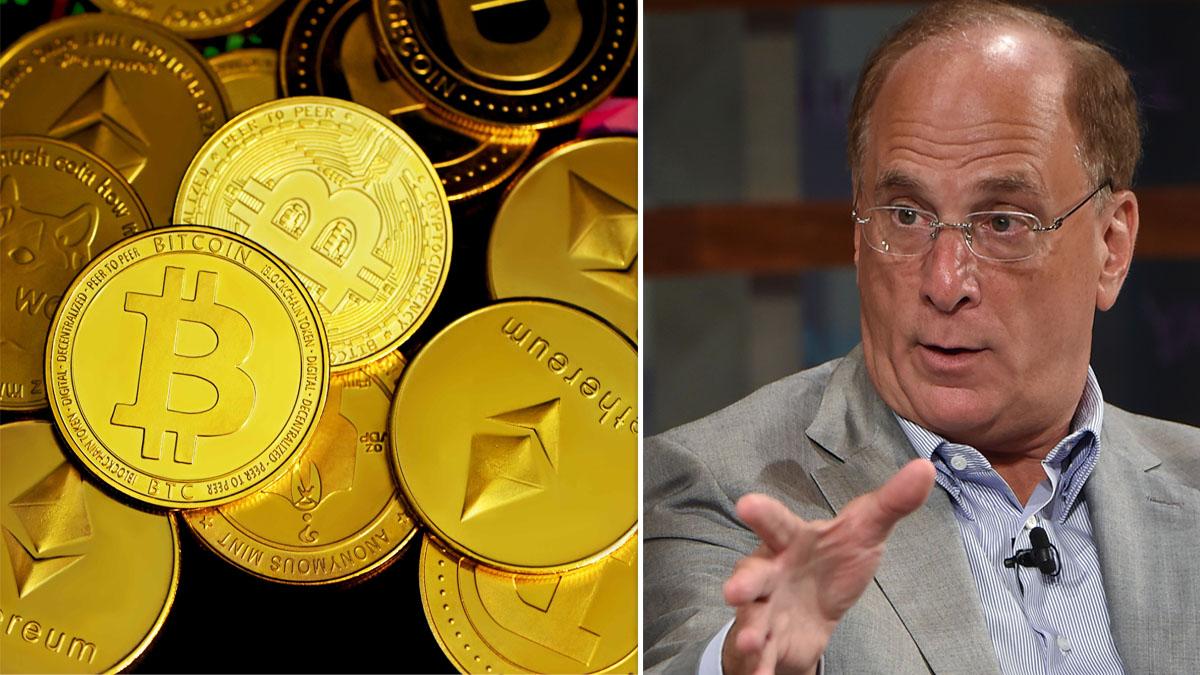 Larry Fink kryptovalutor