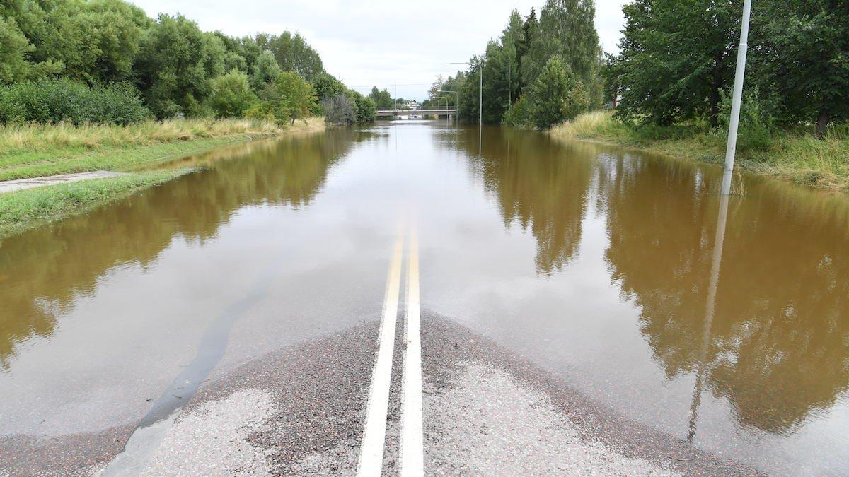 översvämning