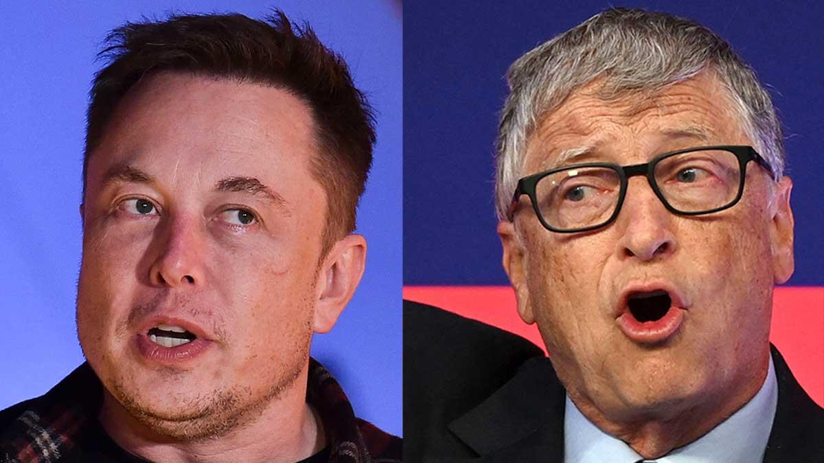 Bill Gates Musk