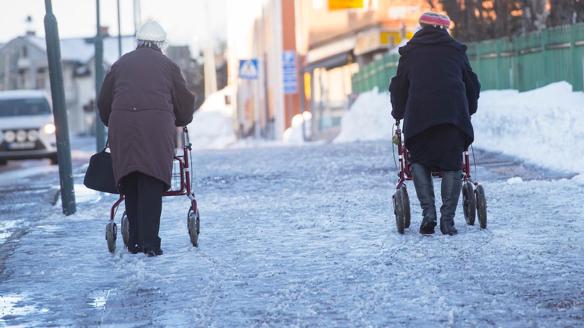 Pensionssystemet gör det svårt för pensionärer att ta sig ur en bestående låg standard, de kan inte räkna med någon god inkomstutveckling oavsett samhällets löne- och prisutveckling.