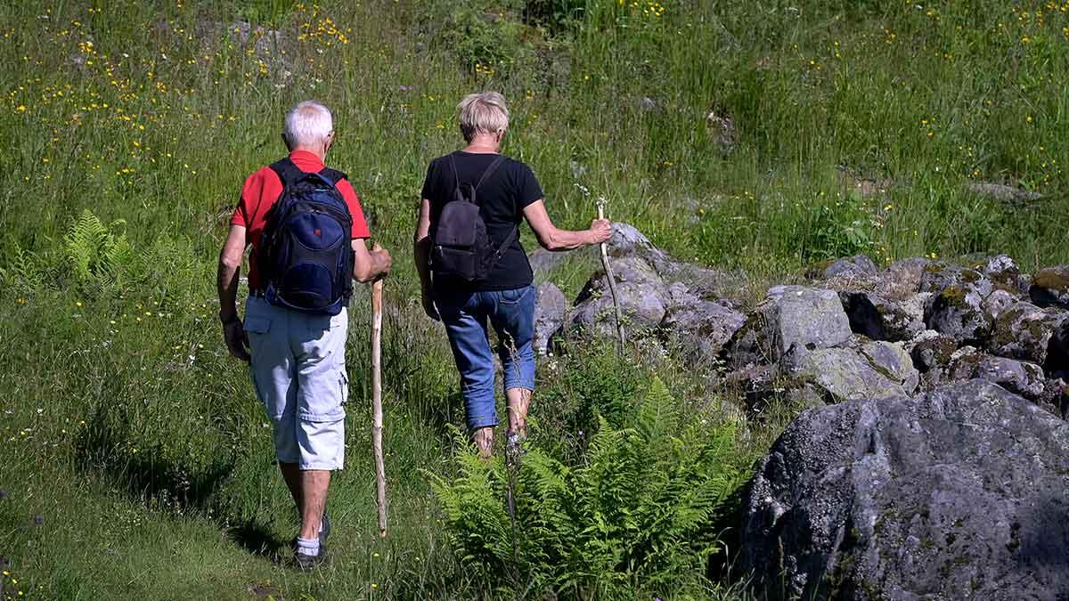 pensionärer tusenlappar