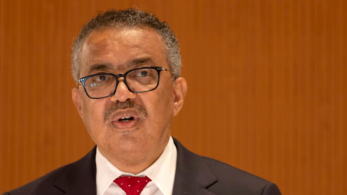 WHO:s generaldirektör Tedros Adhanom Ghebreyesus tycker att utbrottet av apkoppor är oroande och har därför beslutat att sammankalla kriskommittén nästa vecka för att bedöma om utbrottet ska ses som en internationell folkhälsokris