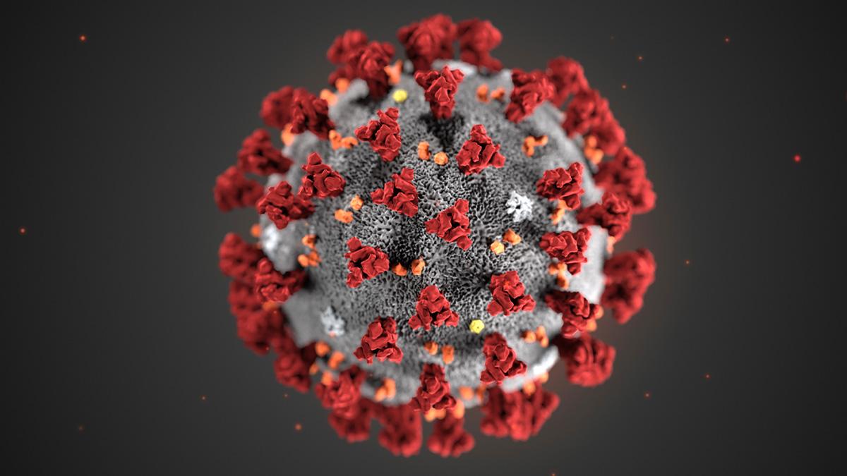 virus