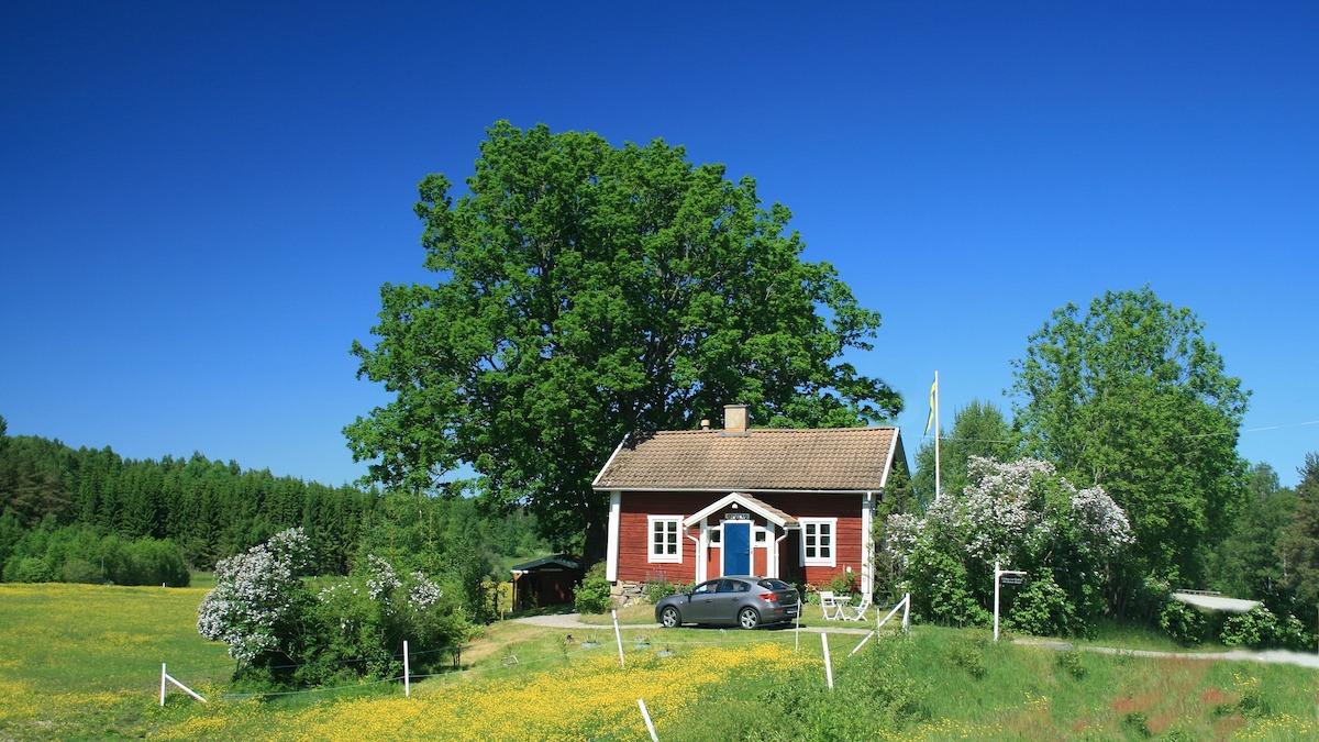 SD är väldigt intresserade av uttrycket i någon sorts traditionell nationalism och partiet har nyligen föreslagit en plan som innebär att trähus byggda i traditionell svensk folklig stil inte skulle behöva bygglov eftersom de ser bra ut och är svenska