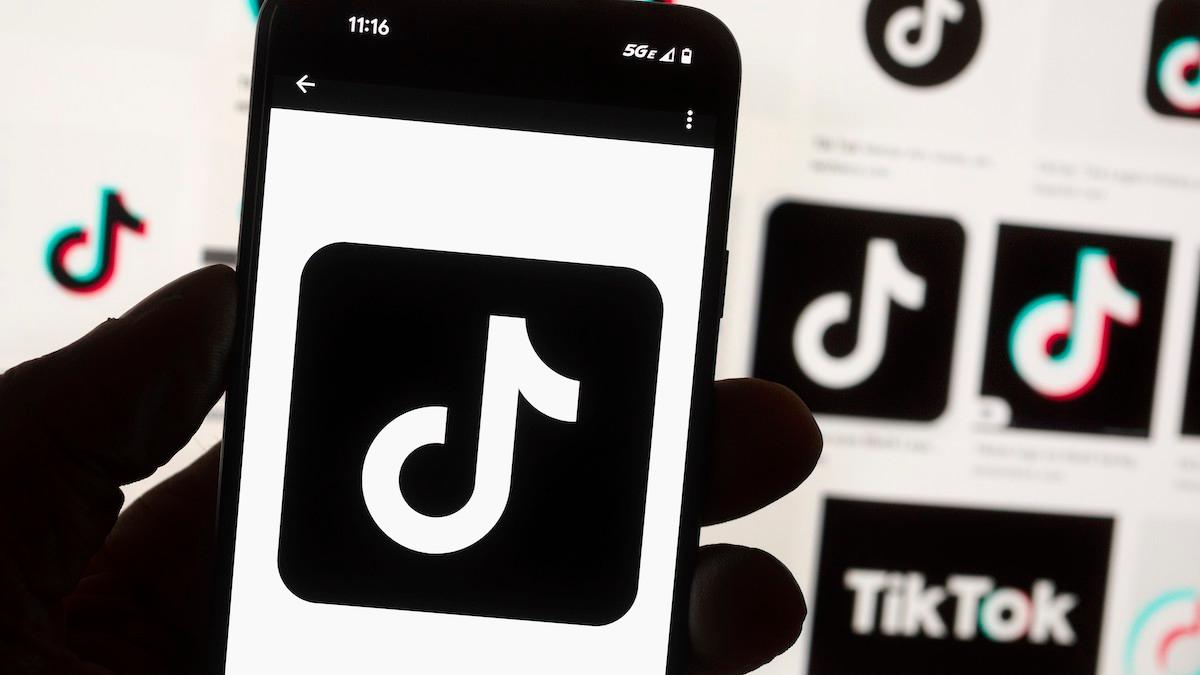 Regeringskansliet uppmanar: "Radera Tiktok"