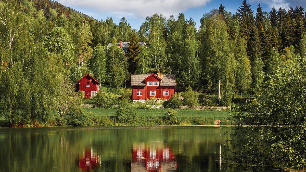 skogsfastigheter