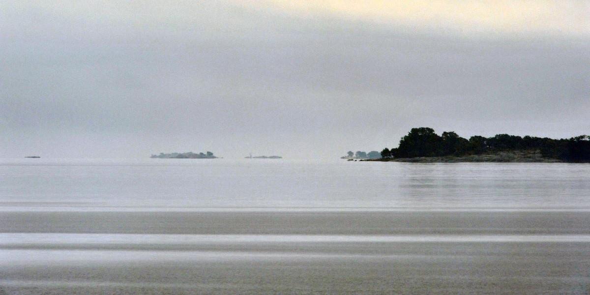 fiske Östersjön