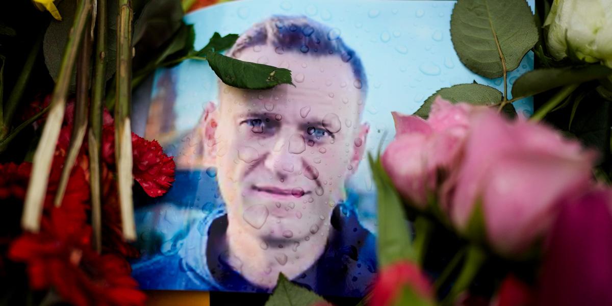 Navalnyj