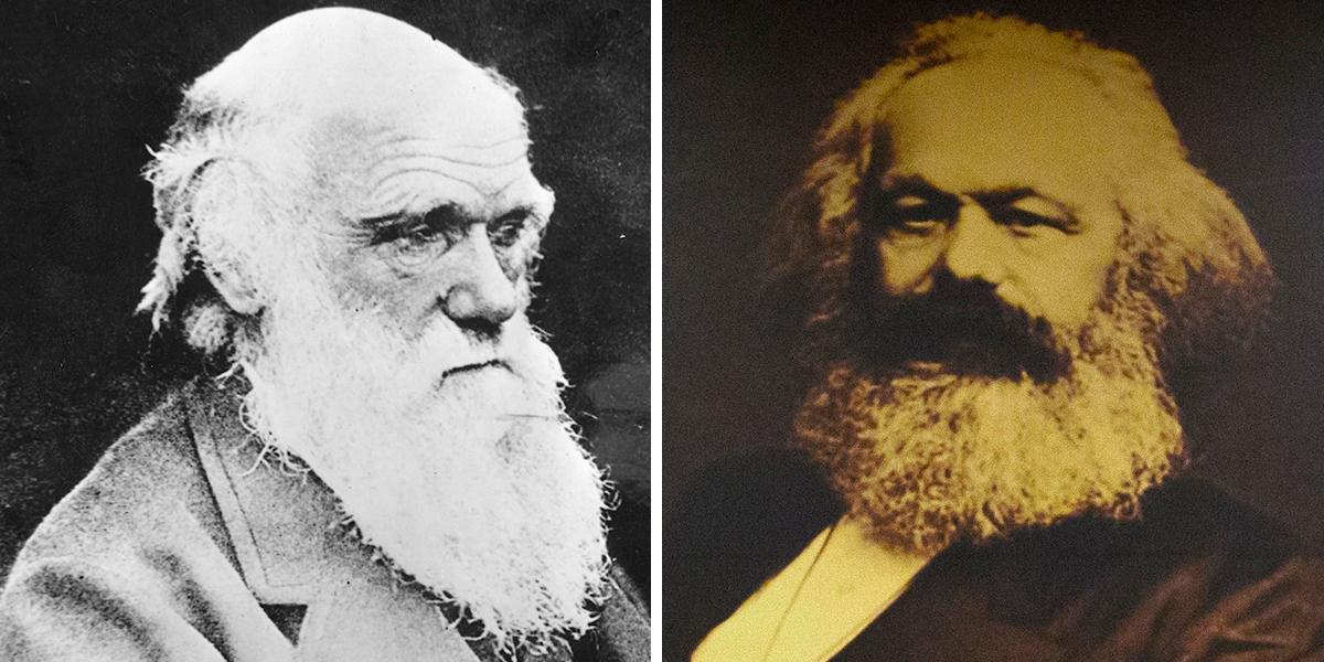 Darwin