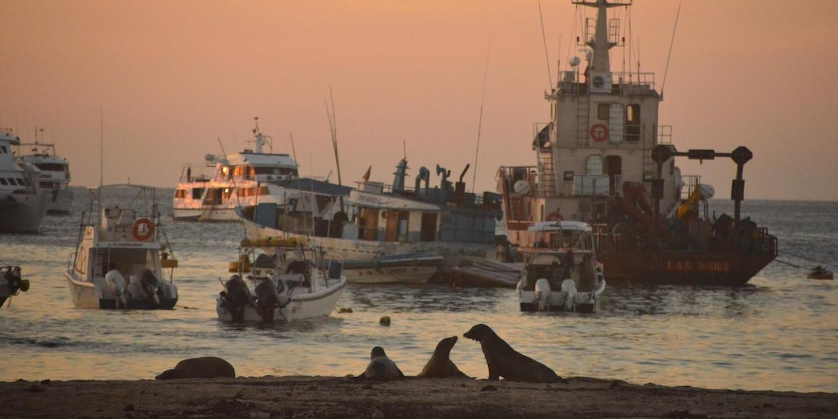 Galápagos