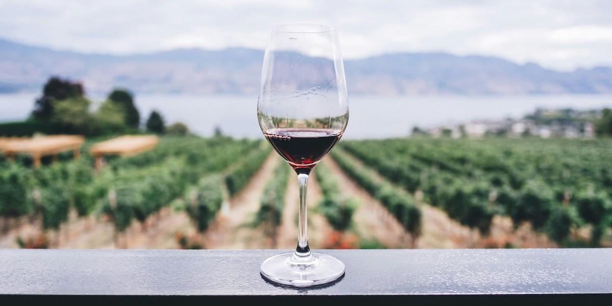 vinprodktion