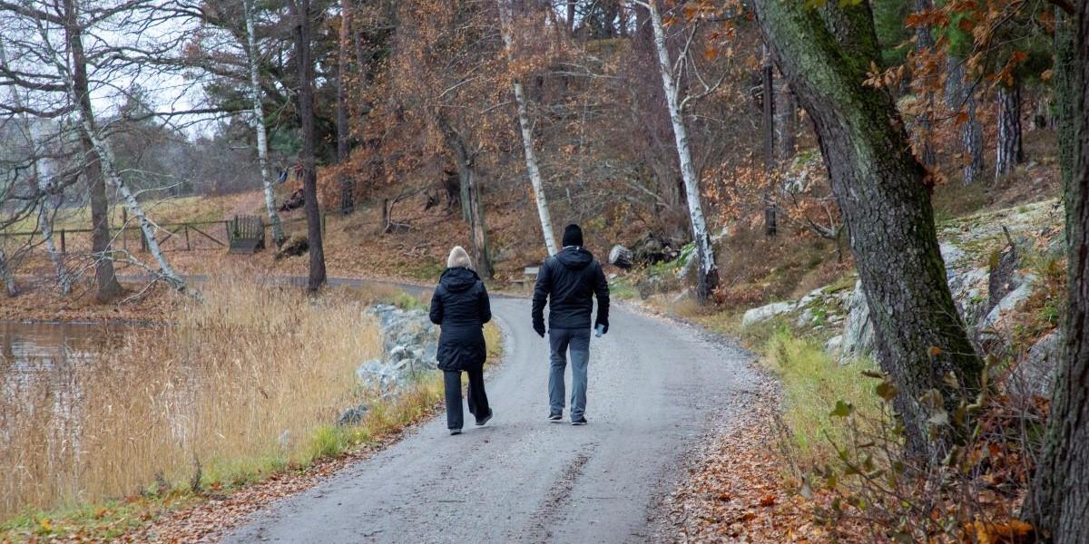 tjänstepension