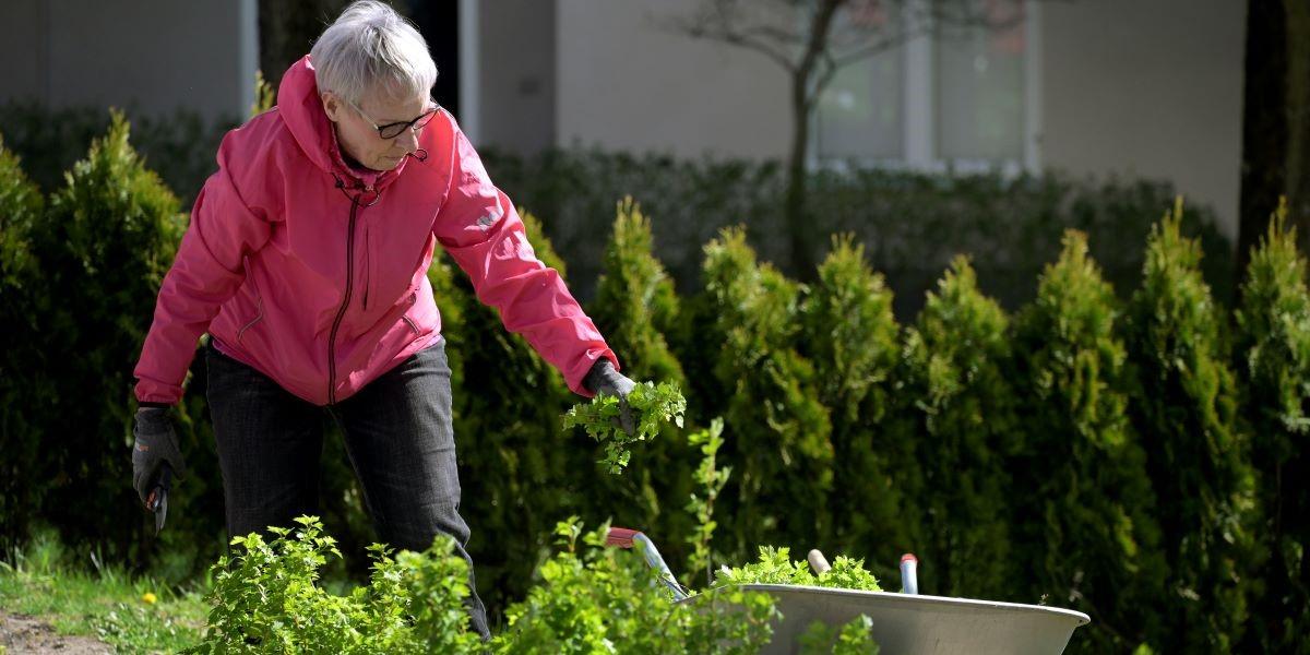 Generation X utmanas både av äldre och yngre om jobben