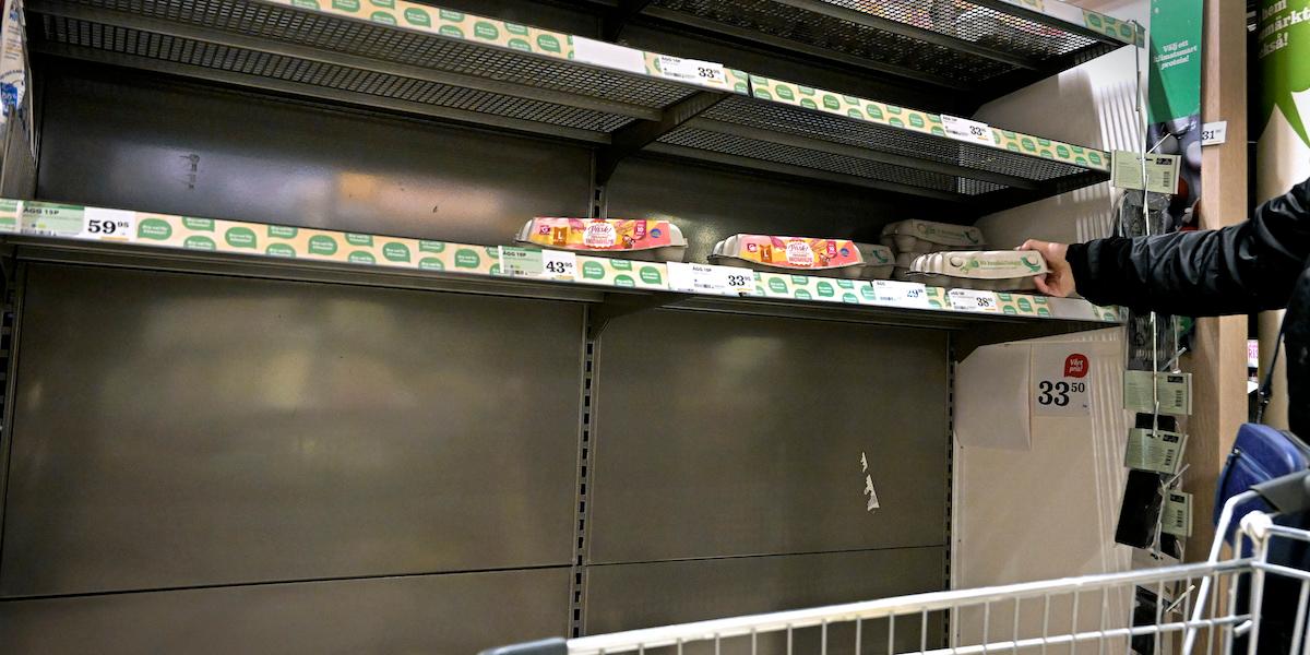 Fågelinfluensans återkomst skapar både ägg-brist och prishöjningar