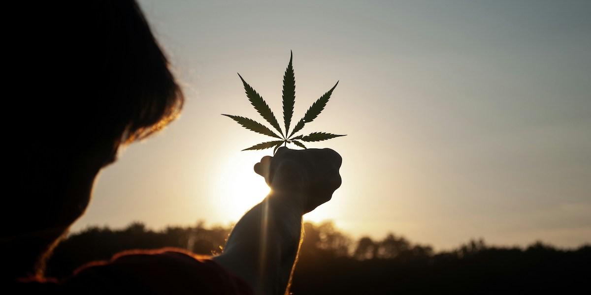 Cannabis och dryck med baserad på drogen har seglat upp som ett mycket attraktivt alternativ till alkohol.