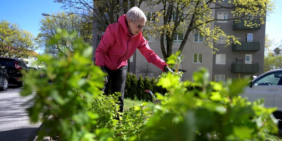 Att fortsätta arbeta höjer pensionen kraftigt