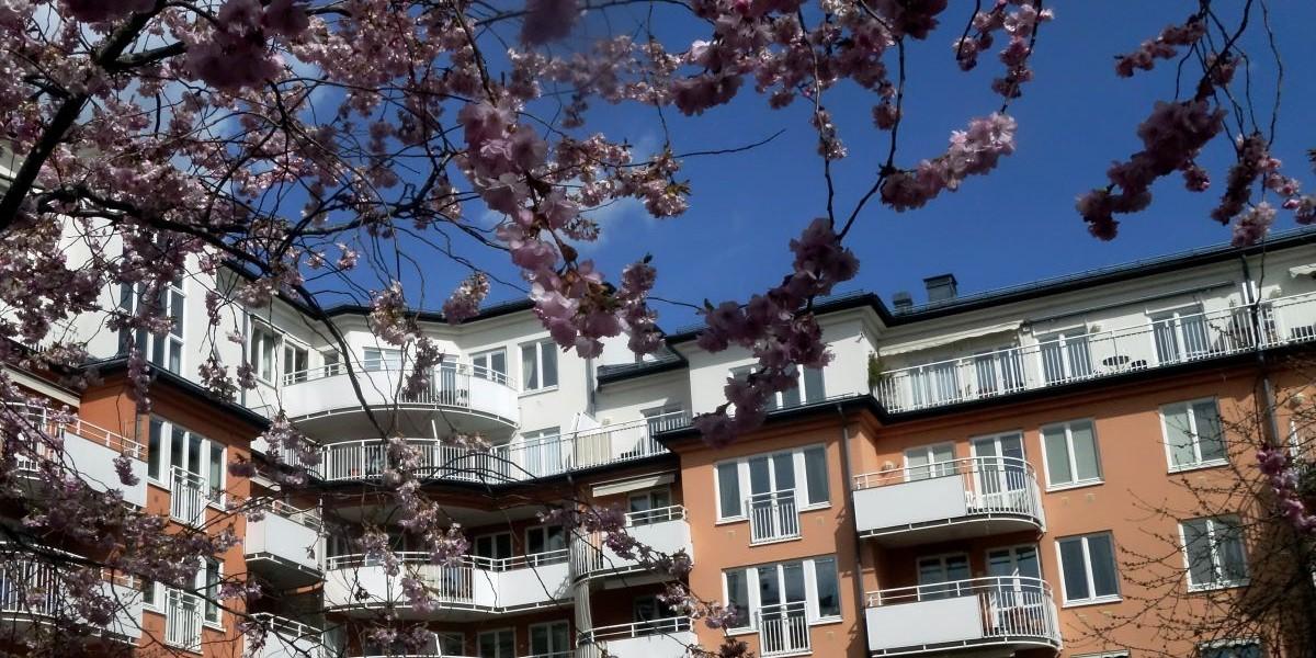 Fler bostadsrätter hos Kronofogden