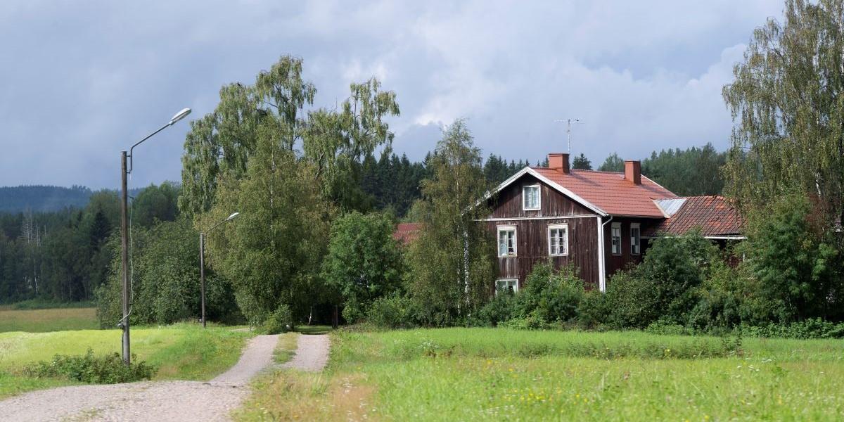 43 procent av svenskarna vill bo på landet
