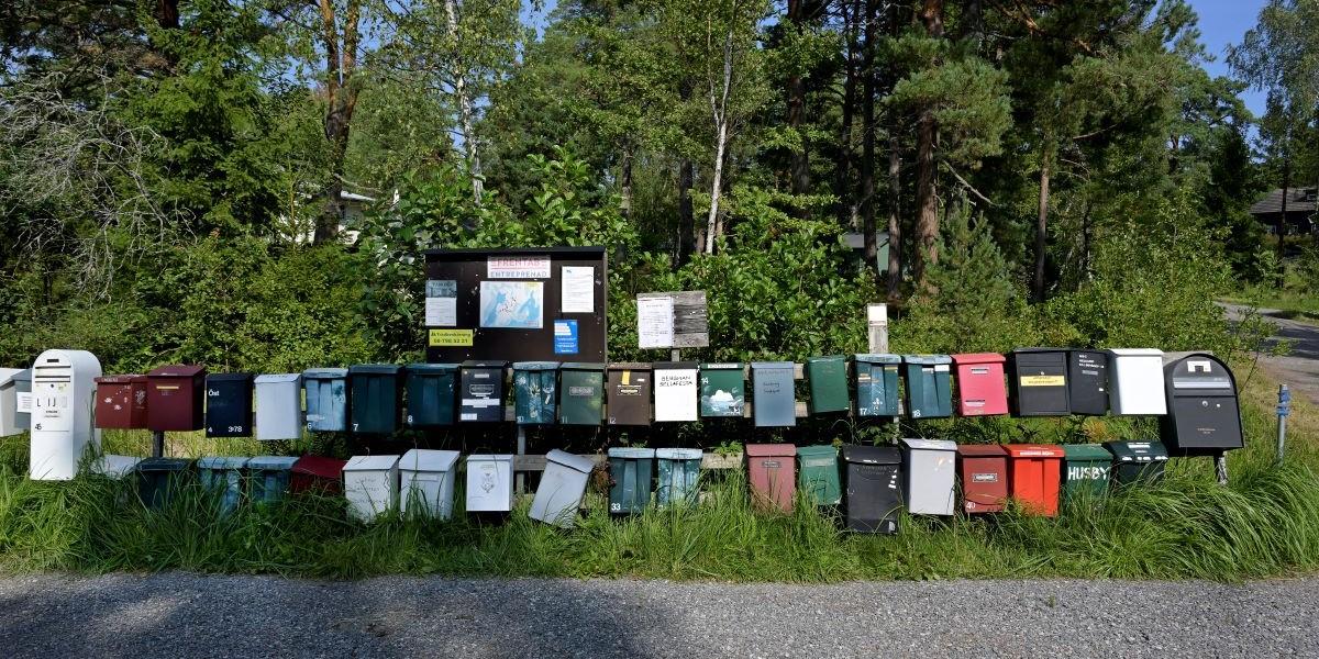 Människor mår bättre med grönytor nära sig, visar forskning