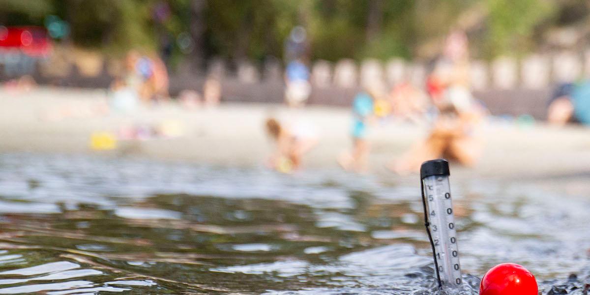 Det väntas bli uppemot 30 grader varmt i veckans värmebölja
