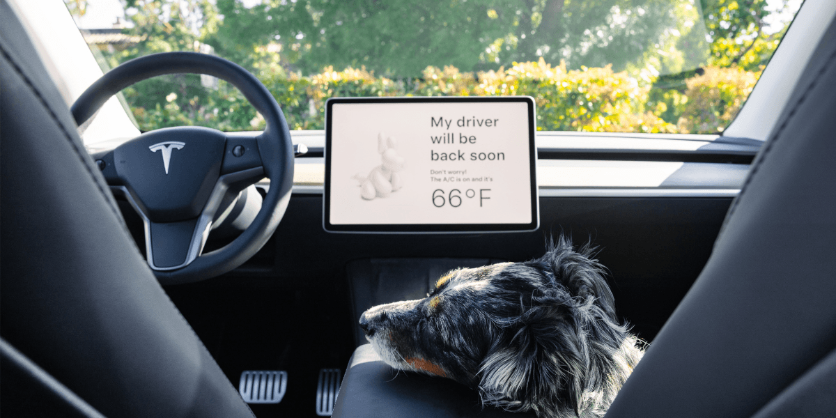Den fantastiska lösningen med dog mode i Tesla visar sig bugga just nu. Inte bra om man litar på funktionen för att kunna gå in och handla lite snabbt. (Foto: Tesla)