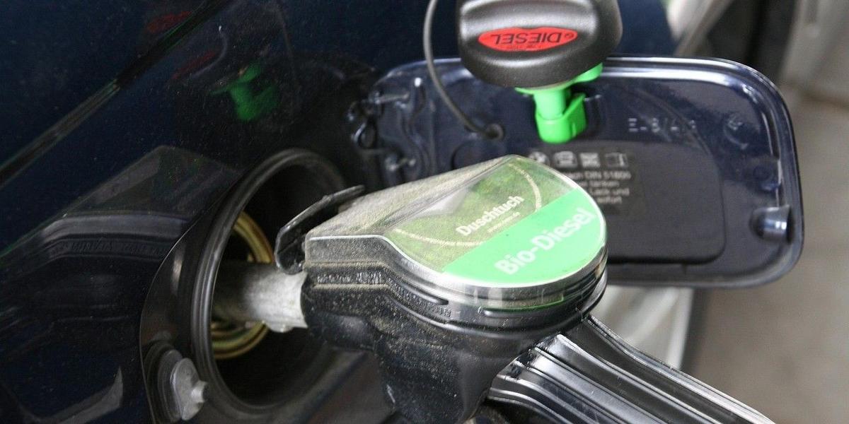 Grön Diesel, HVO kan vara miljöbluff