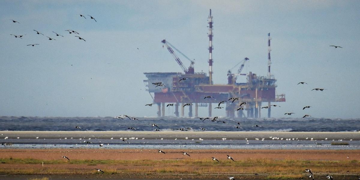 Brant ras för Brentolja