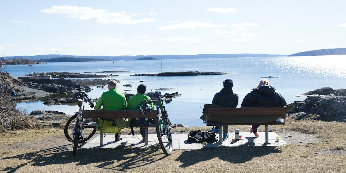 Det bildas D-vitamin i huden när vi är ute i solen, visar en ny studie