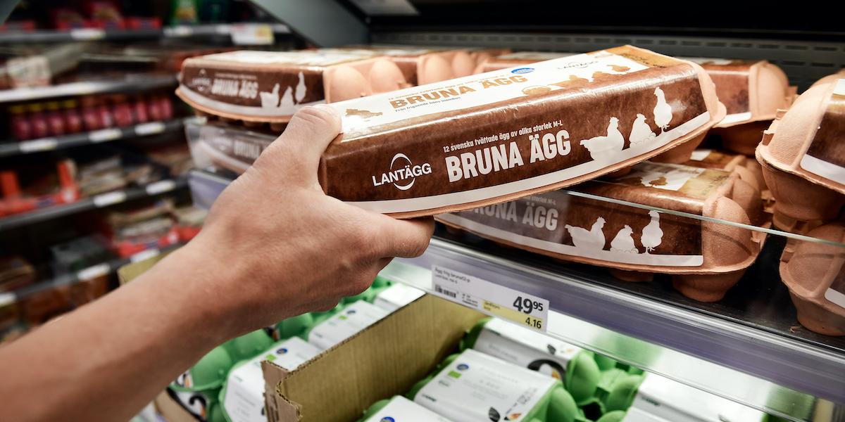 Dyrt med ägg