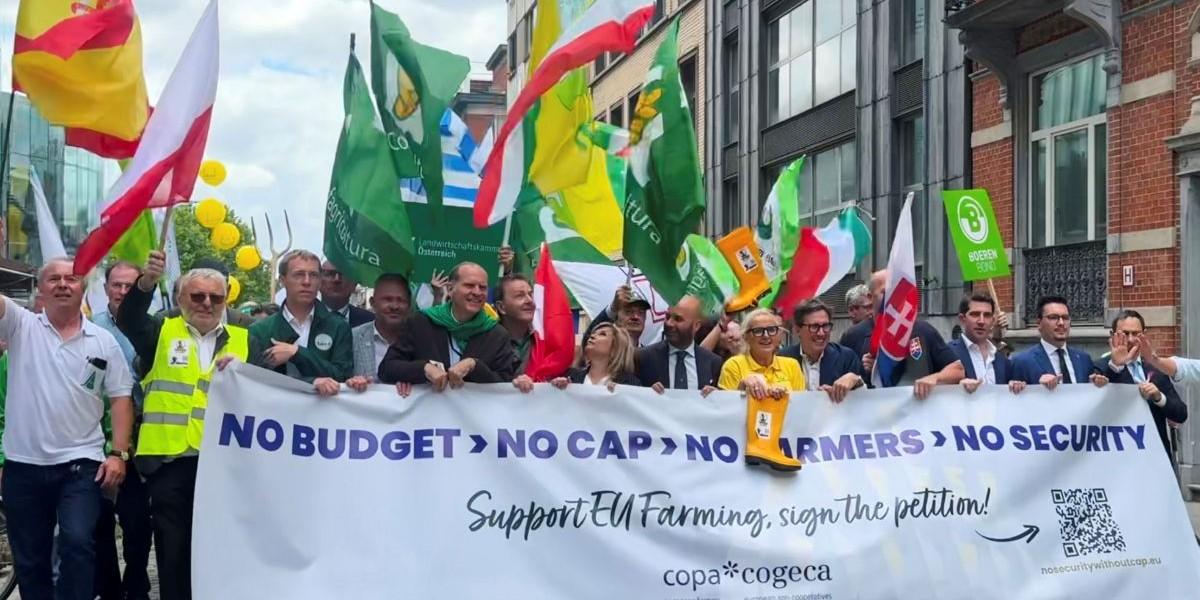 Protester när EU kapar jordbruksstöd